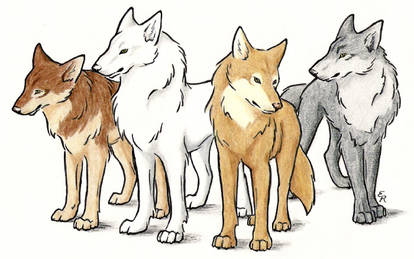 Wolf's Rain Characters