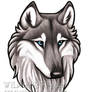 Blue Eyed Grey Wolf Bust Commission