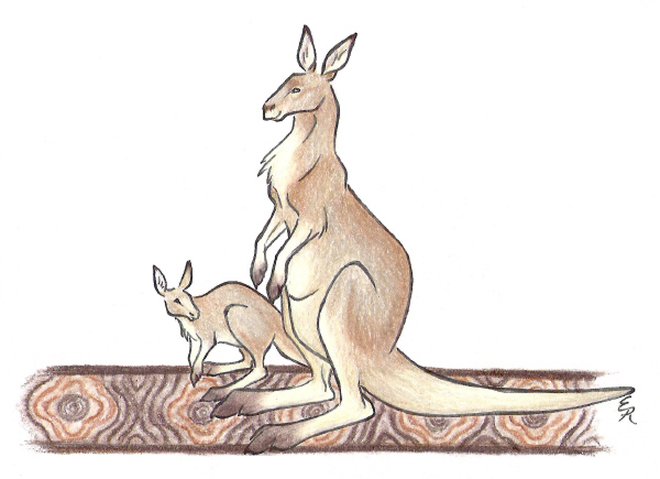 Kangaroo And Joey