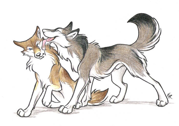 Волк и лиса и лиса другой. Мультяшные волки. Волчонок рисунок. Волк и лиса. Волк для срисовки.