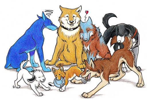 Canine Group Commission