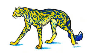 Bluestripe King Cheetah