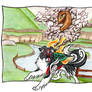 Okami - Border Collie Goddess