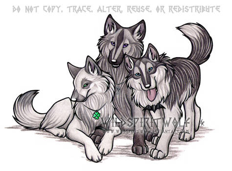 Craz Wolf's Trio Commish