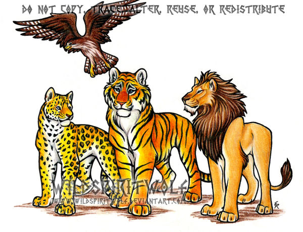 Тигр волк лиса. Рисунки Львов и тигров. Рисунки тигров и леопардов. Семейство кошачьих вместе арт. Лев и тигр.