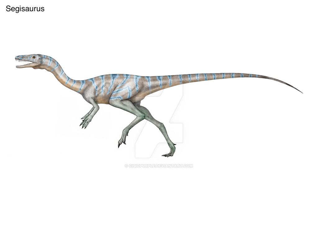 Segiosaurus Segisaurus by cisiopurple on DeviantArt