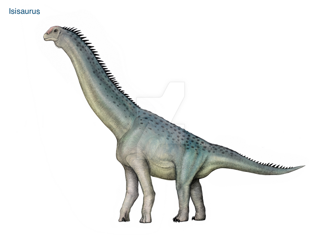 Isisaurus Model Isisaurus by cisiopurple on DeviantArt