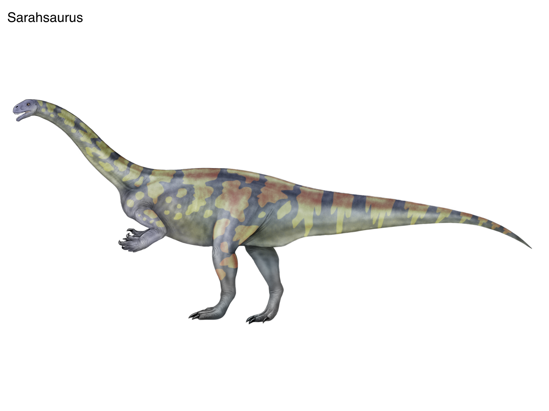 Sarahsaurus Sarahsaurus by cisiopurple on DeviantArt