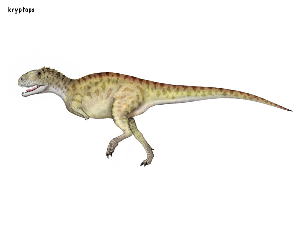 Kryptops by cisiopurple on DeviantArt