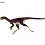 Tachiraptor