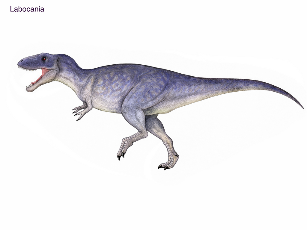 Labocania Labocania by cisiopurple on DeviantArt