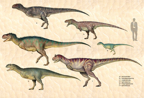 Abelisauridae 3