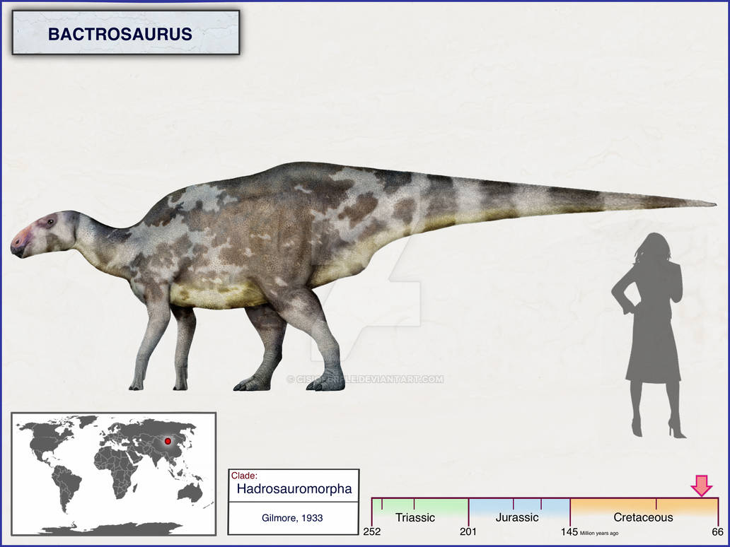 Bactrosaurus Tooth Bactrosaurus by cisiopurple on DeviantArt