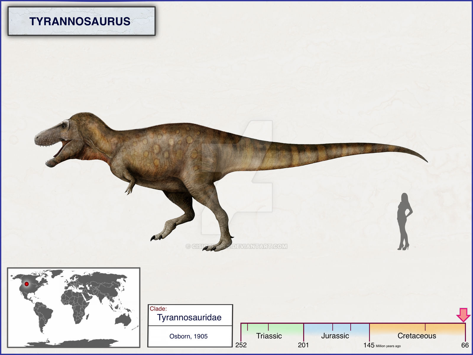 Tyrannosaurus By Cisiopurple On DeviantArt tyrannosaurus-by-cisiopurple-on-deviantart