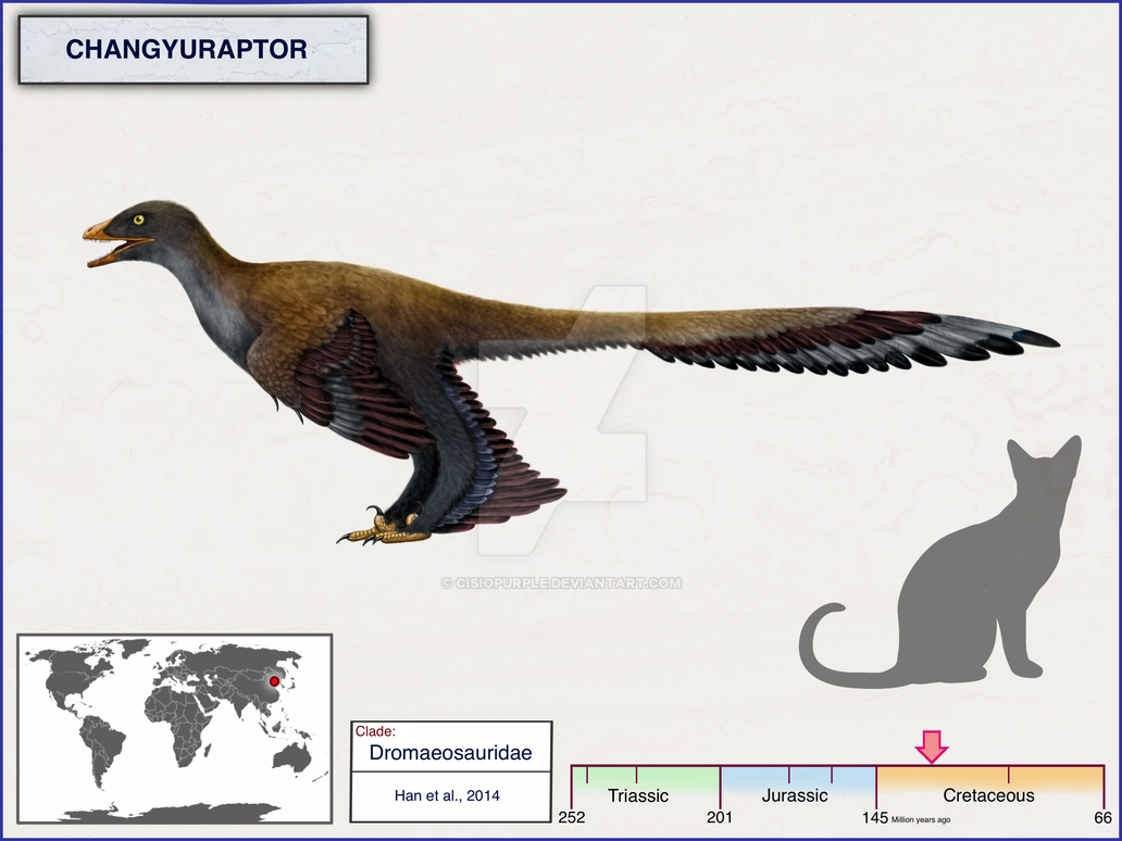 Changu Raptor Changyuraptor by cisiopurple on DeviantArt