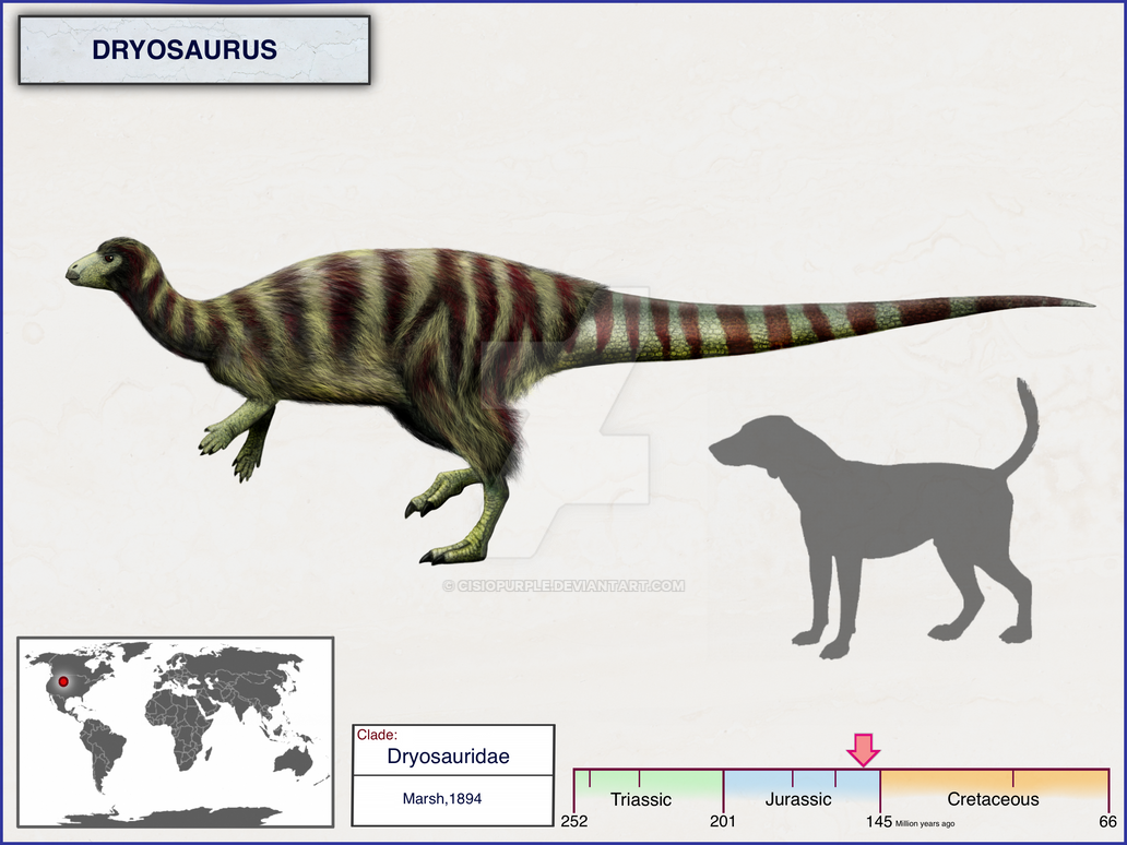 Dryosaurus By Cisiopurple On DeviantArt