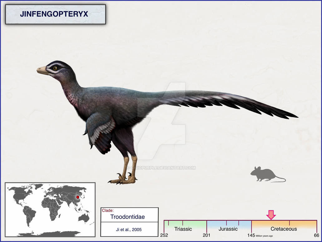 Jft Insect Jinfengopteryx by cisiopurple on DeviantArt