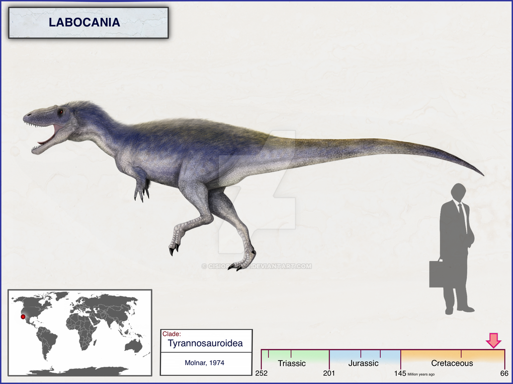 Labocania Labocania by cisiopurple on DeviantArt
