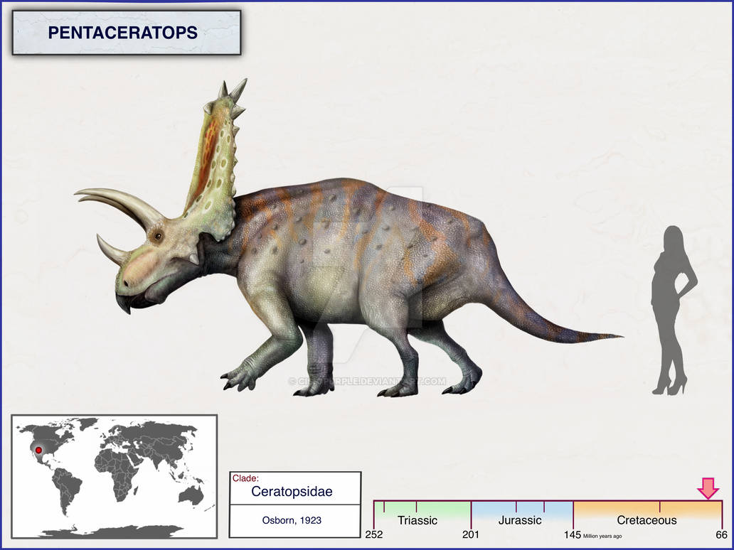 Pentaceratops By Cisiopurple On DeviantArt pentaceratops-by-cisiopurple-on-deviantart
