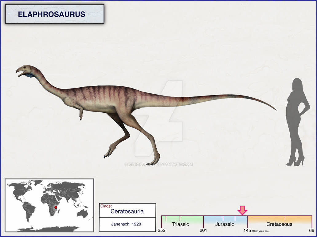 Elaphrosaurus by cisiopurple on DeviantArt