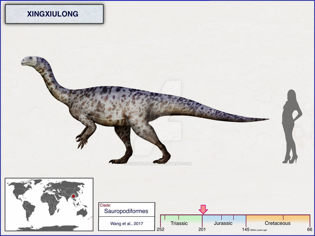 Xingxiulong by cisiopurple on DeviantArt