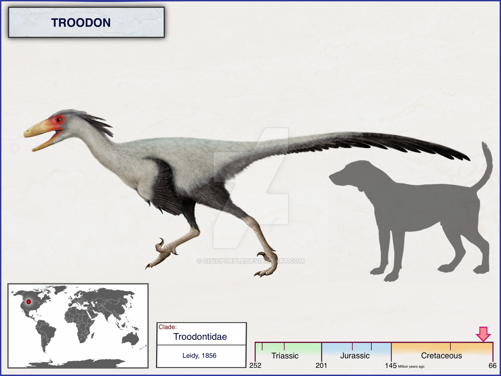 Troodon Body Troodon by cisiopurple on DeviantArt