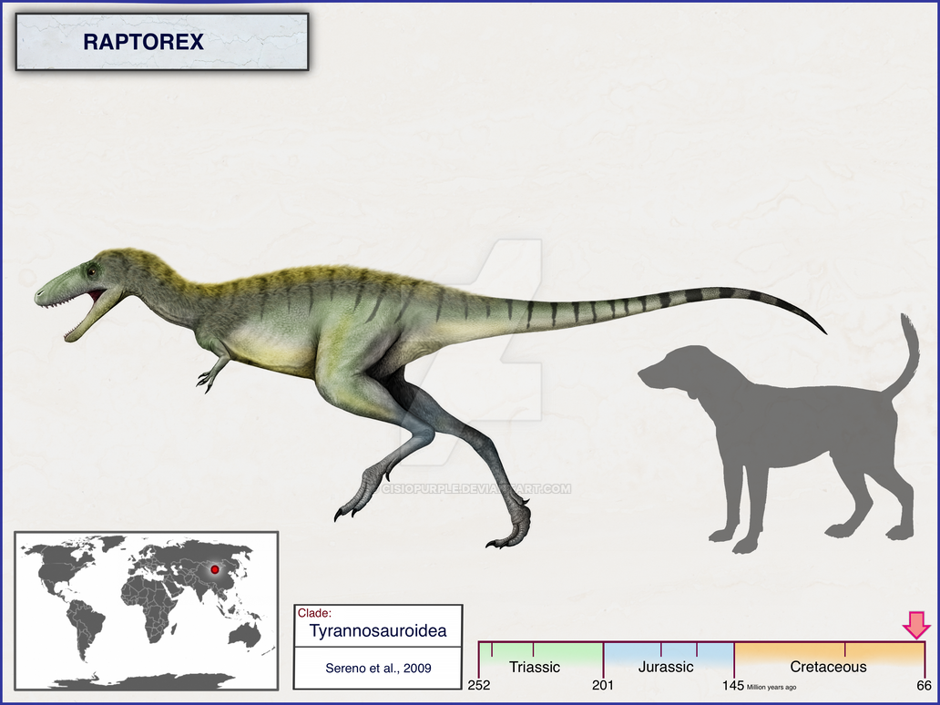 Raptorex by cisiopurple on DeviantArt