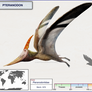 Pteranodon