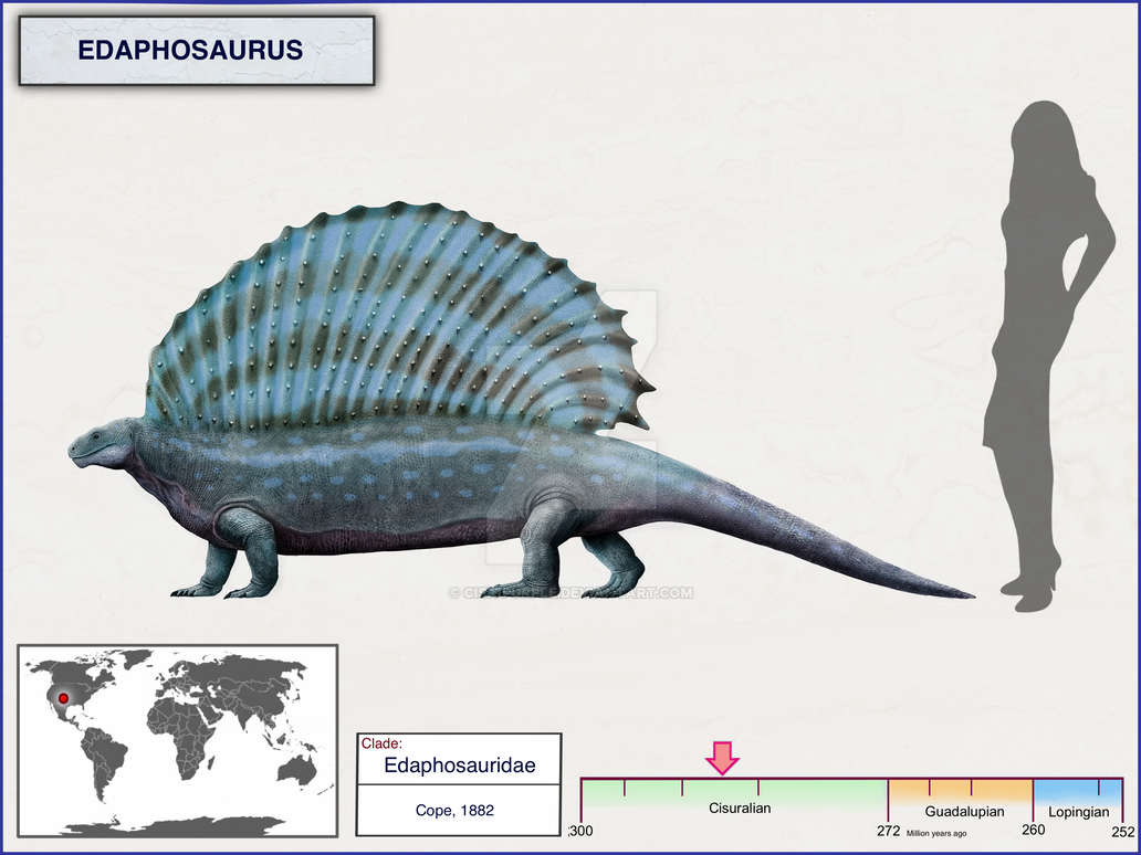 Edaphosaur Edaphosaurus by cisiopurple on DeviantArt