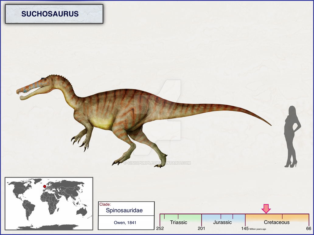 Suchosaurus Size Suchosaurus by cisiopurple on DeviantArt