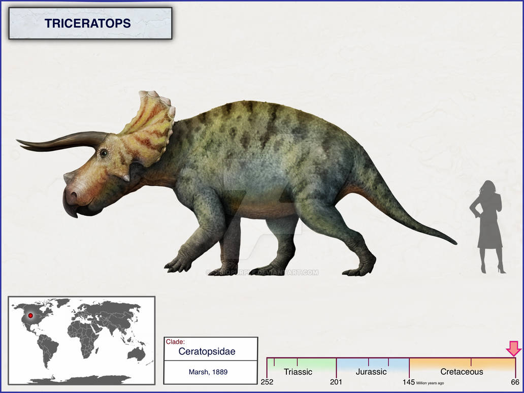 Triceratops by cisiopurple on DeviantArt