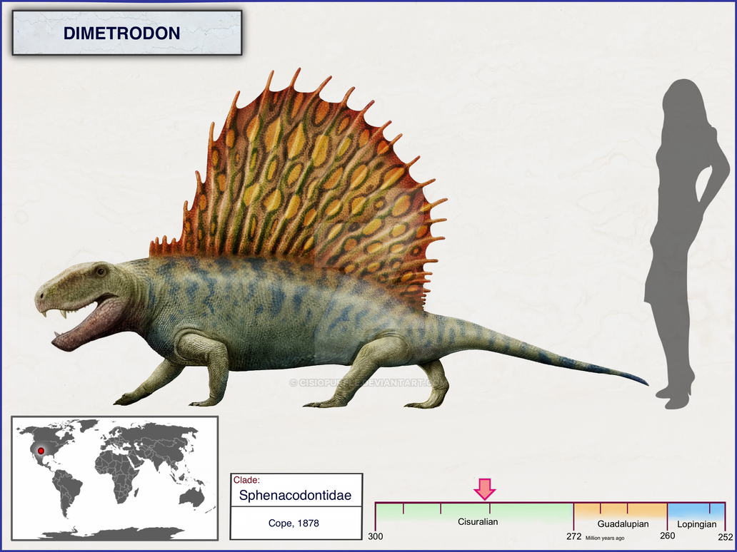 Dimetrodon by cisiopurple on DeviantArt