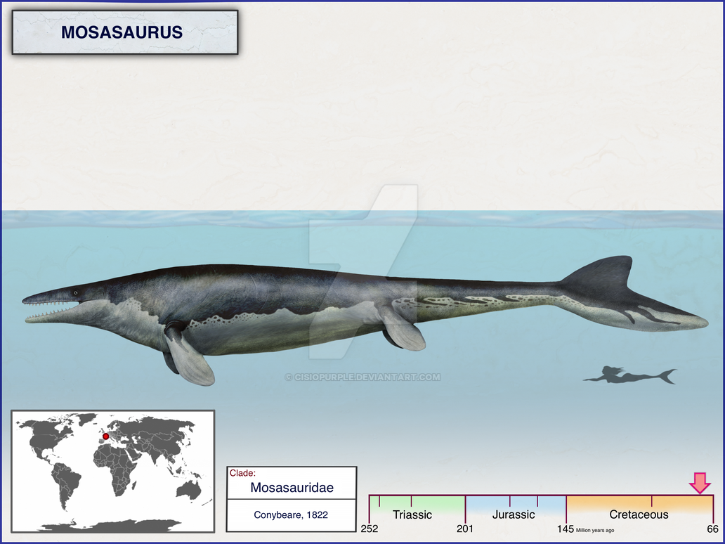 Mosasaurus by cisiopurple on DeviantArt