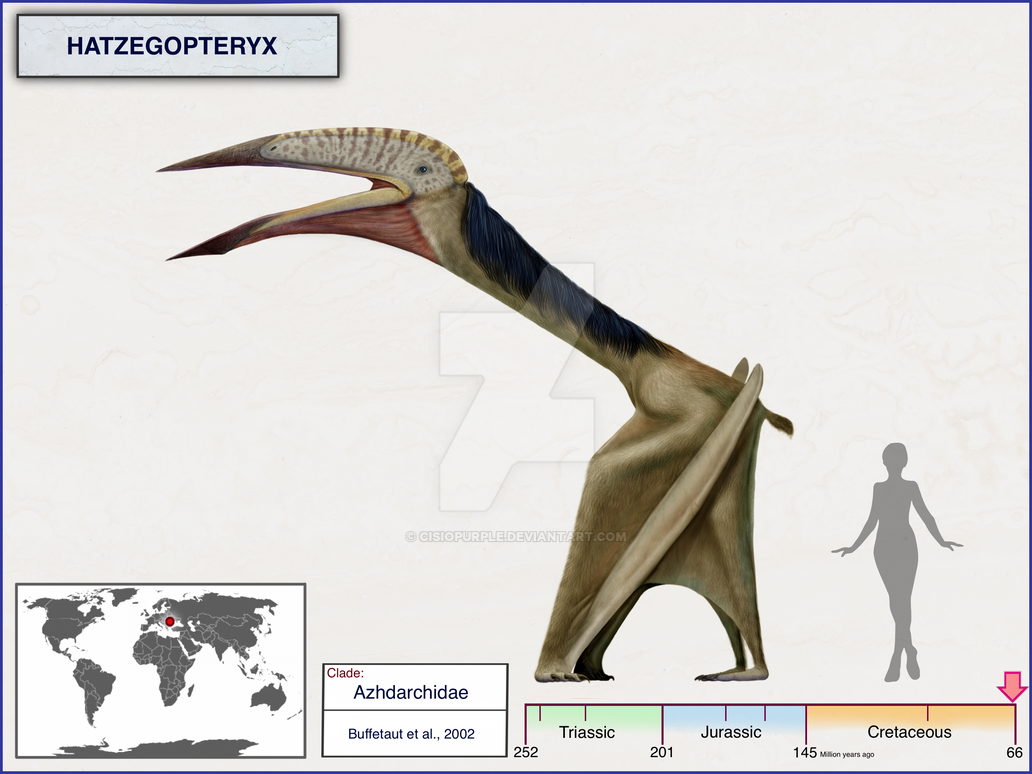 Hatzegopteryx By Cisiopurple On DeviantArt hatzegopteryx-by-cisiopurple-on-deviantart