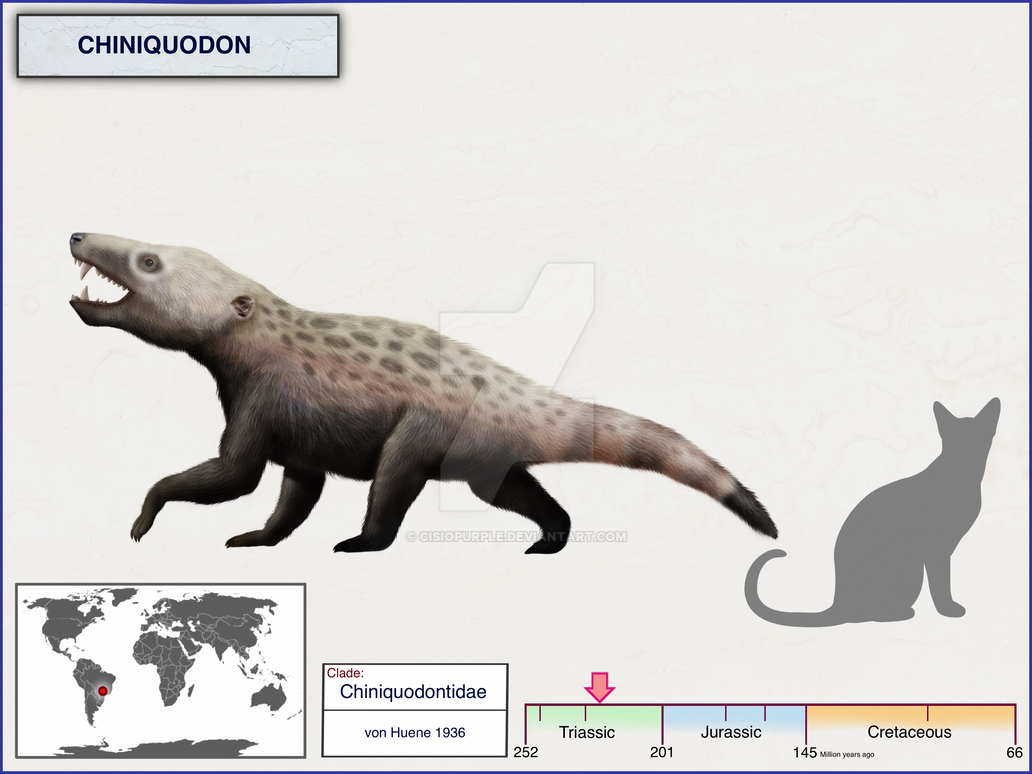 Chiniquodon by cisiopurple on DeviantArt