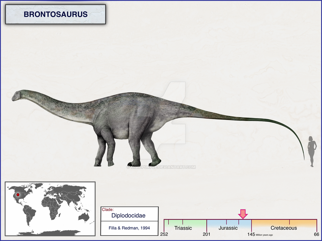 Brontosaruous Brontosaurus by cisiopurple on DeviantArt