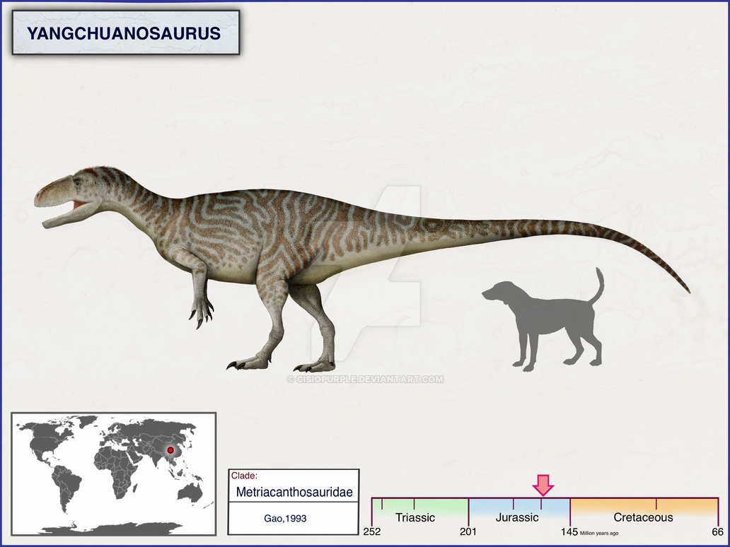 Yangchuanosaurus By Cisiopurple On DeviantArt yangchuanosaurus-by-cisiopurple-on-deviantart