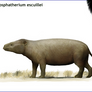 Phosphatherium escuillei
