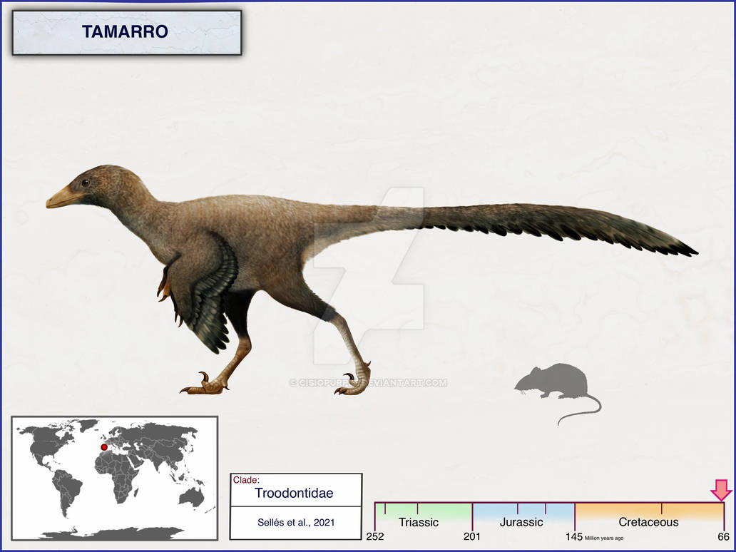 Tamro Back Tamarro by cisiopurple on DeviantArt