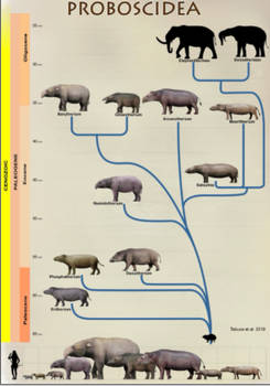 A0f4e13f-5429-482f-9a0b-7b0b41943f76