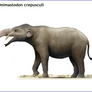 Hemimastodon crepusculi