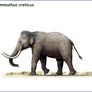 Mammuthus creticus