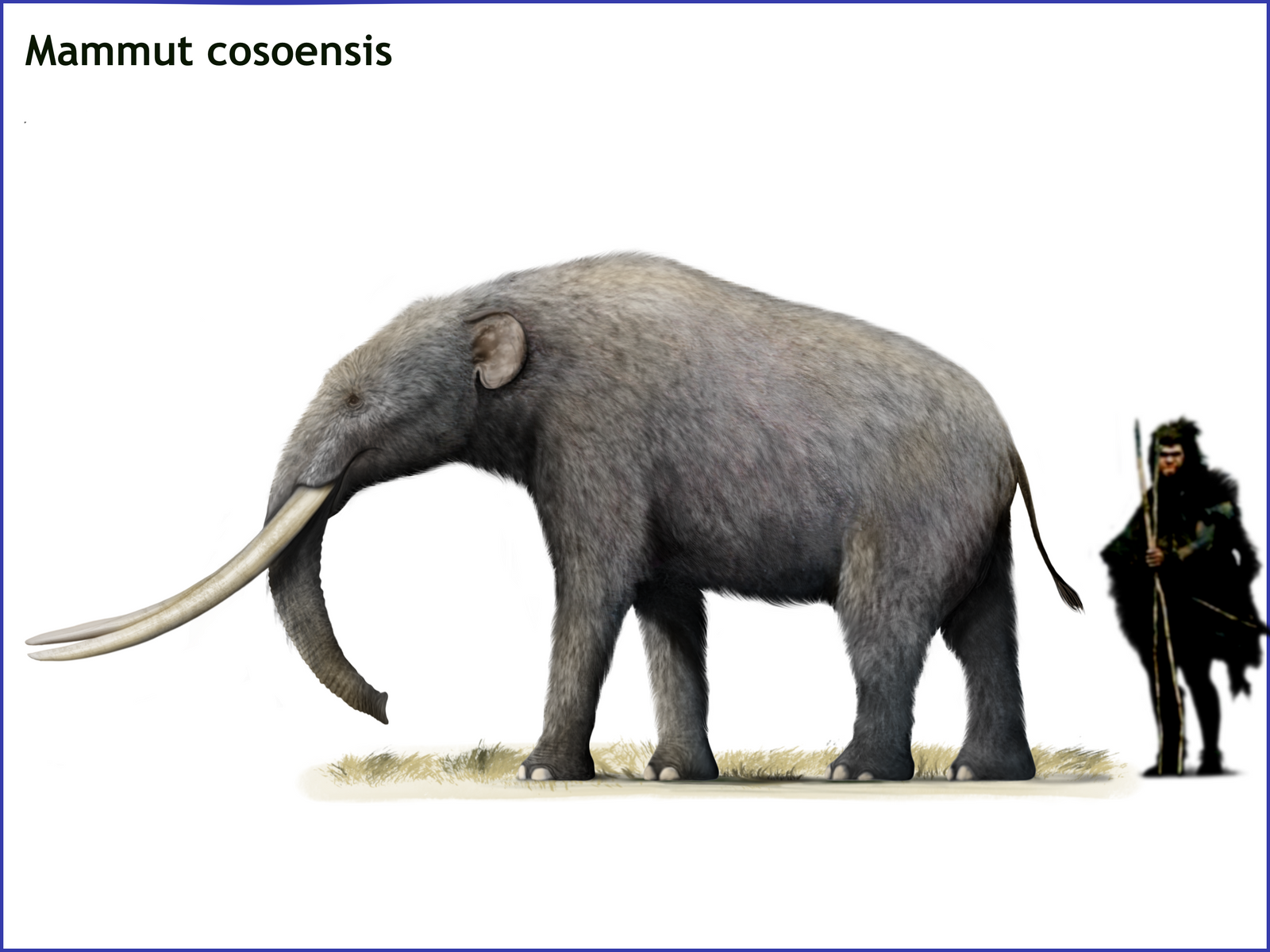 Mammut cosoensis by cisiopurple on DeviantArt