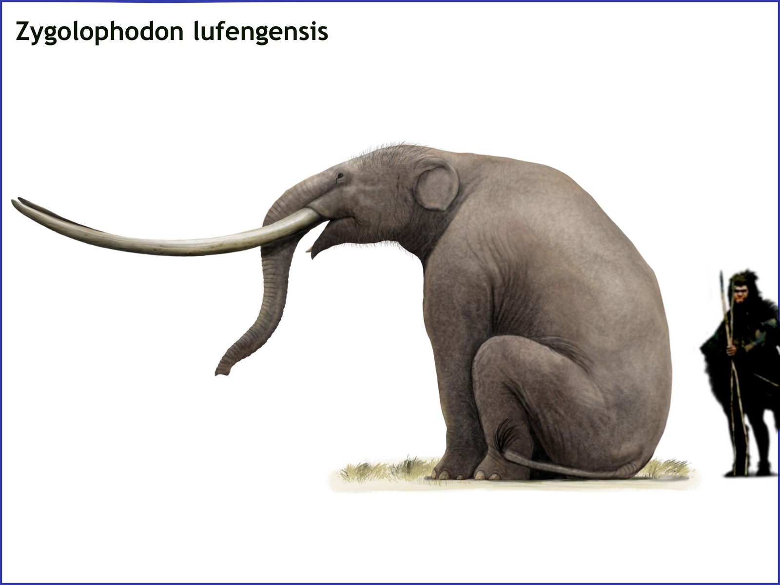 Zygolophodon lufengensis by cisiopurple on DeviantArt
