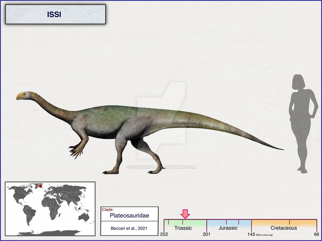 Issi by cisiopurple on DeviantArt