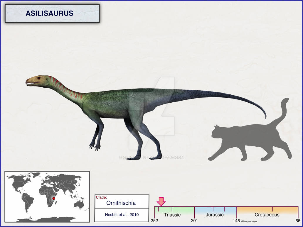 Asilisaurus Asilisaurus Waxing Paleontological: Slightly More Hopeful Dinosaurs
