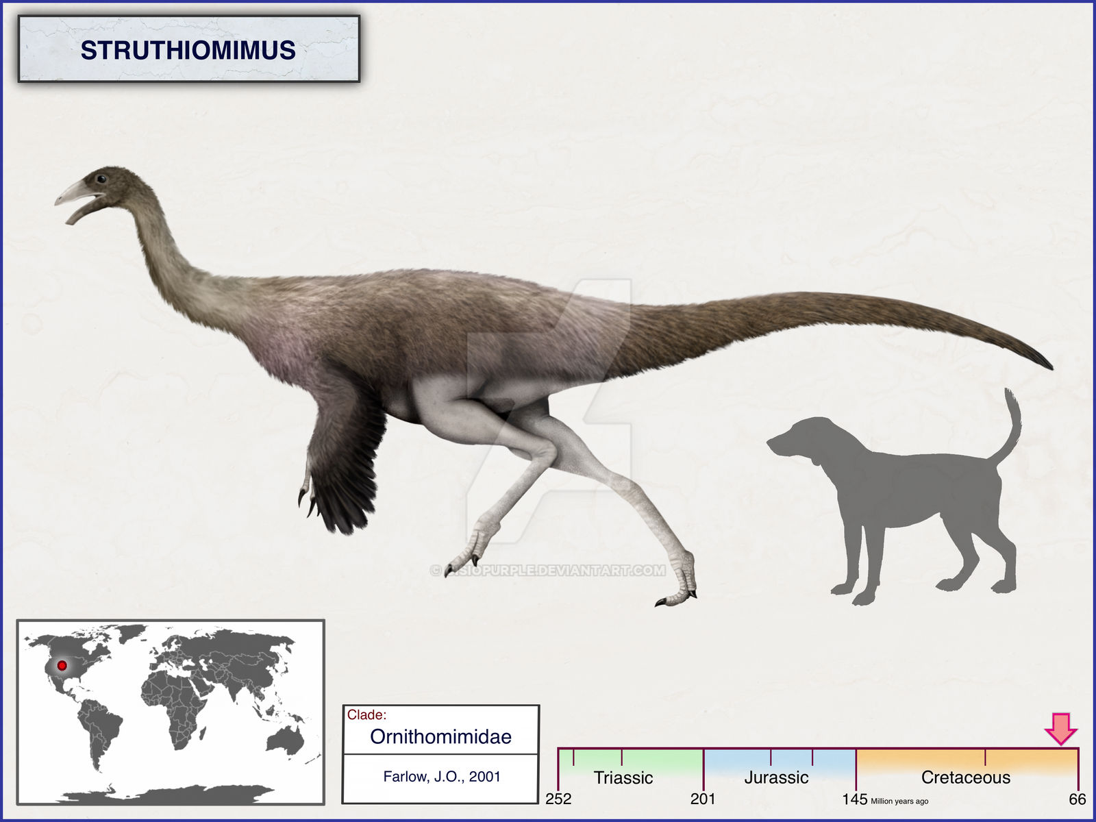 Struthiomimus By Cisiopurple On DeviantArt struthiomimus-by-cisiopurple-on-deviantart