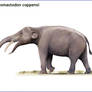 Afromastodon coppensi