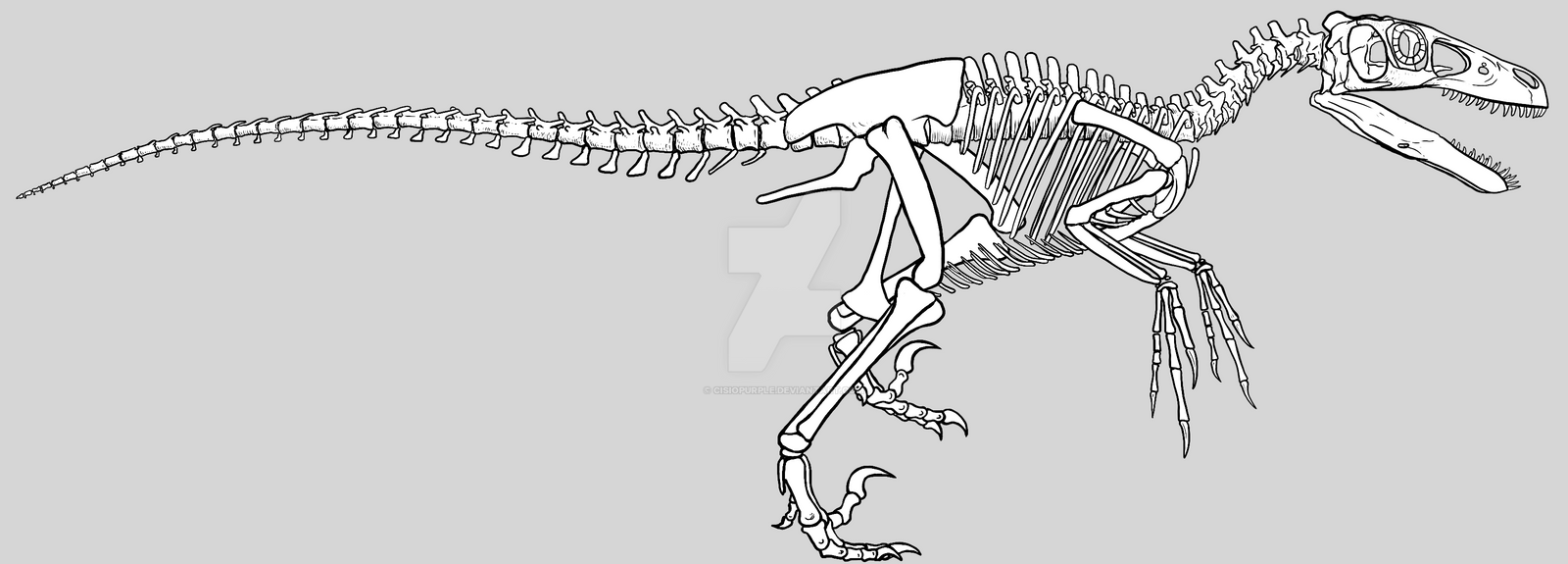 Utah Raptor Outlines Utahraptor by cisiopurple on DeviantArt