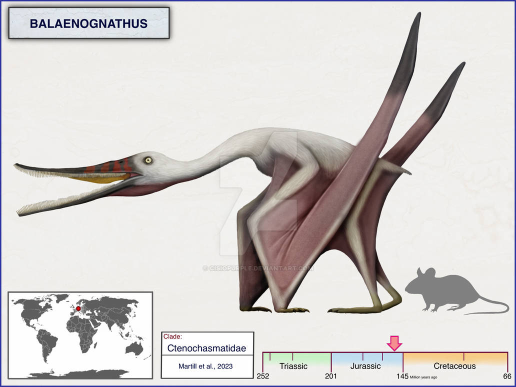 Moganopterus Balaenognathus by cisiopurple on DeviantArt